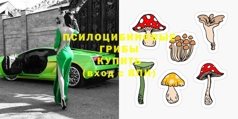 omg tor  дарнет шоп  Инта  даркнет клад  Галлюциногенные грибы Cubensis 